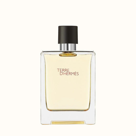 Hermes  Hermes Terre D  Hermes EDT 100Ml